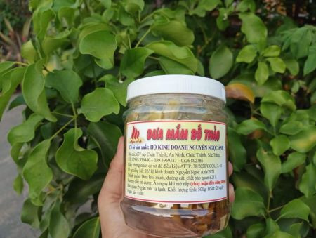 Dưa mắm Bố Thảo